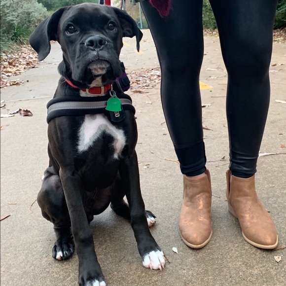 Meet your Posher, Julia - Picture 1 of 1